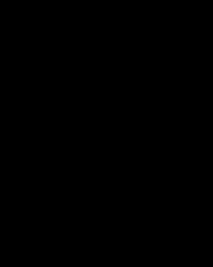 SIMAGIC TB-RS HAND BRAKE